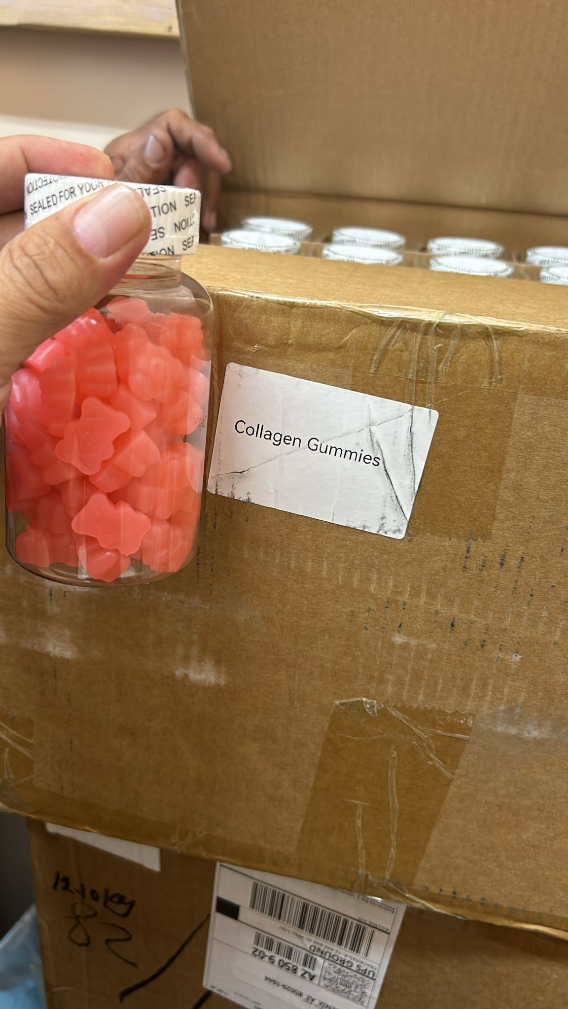 Collagen Gummies Case of 24